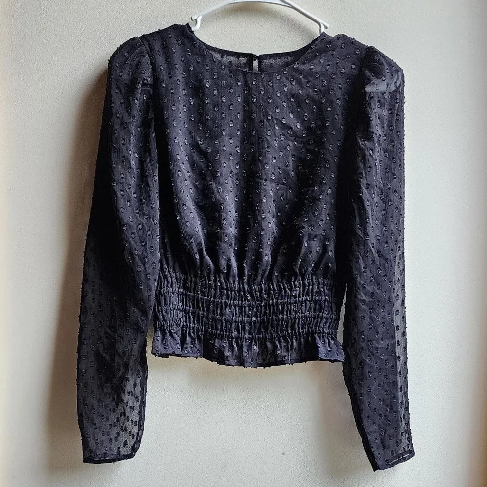 Express Sheer Black Cropped Blouse Size XS